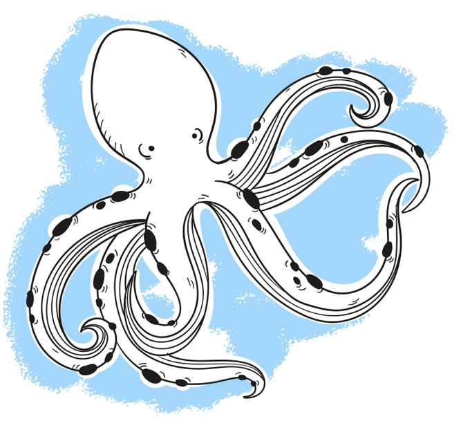 Immage of an octopus